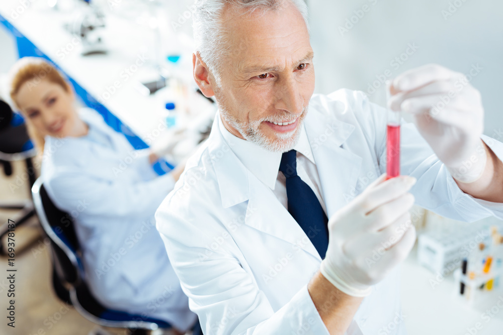 Delighted practitioner working in the laboratory Delighted practitioner working in the laboratory