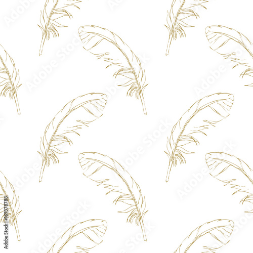 Seamless pattern brown hand-drawn feathers on a white background. Vector