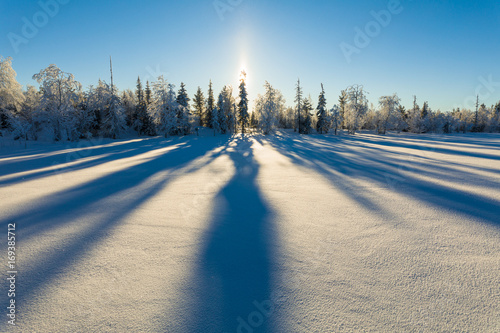 Winter landscape in Lapland in Northern Finland
