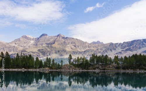 Alpine lake and forest in Valtellina - Valmalenco  lagazzuolo