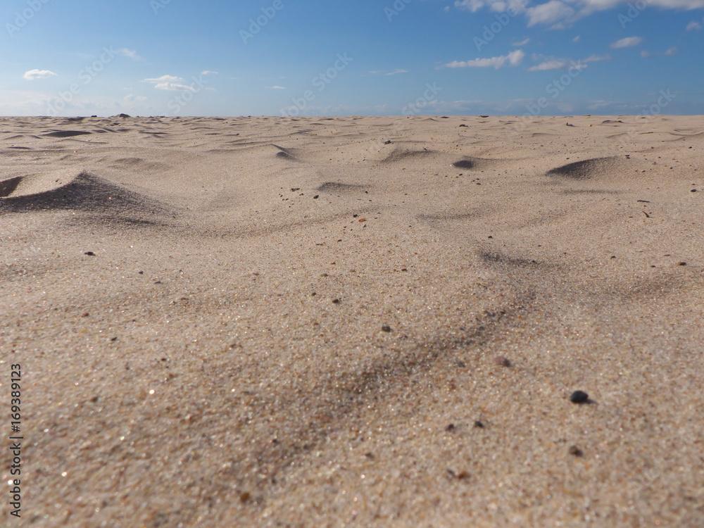 Strandmakro im Wüstenlook ohne Menschen Strandmakro im Wüstenlook ohne Menschen