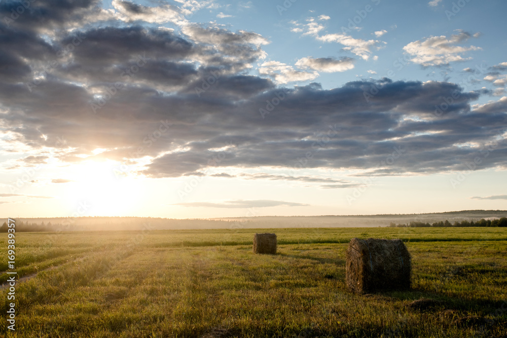 Haystacks in the fields against the sunset. Harvest.