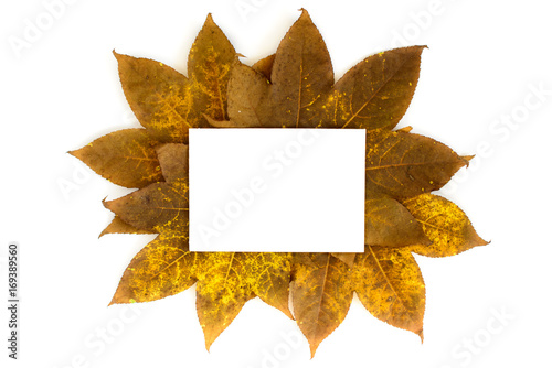 Autumn leaves ornate with white copy space card