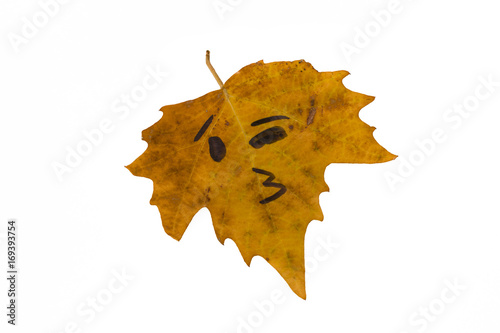 A yellow leaf with the image of a face kiss is not. Isolate photo