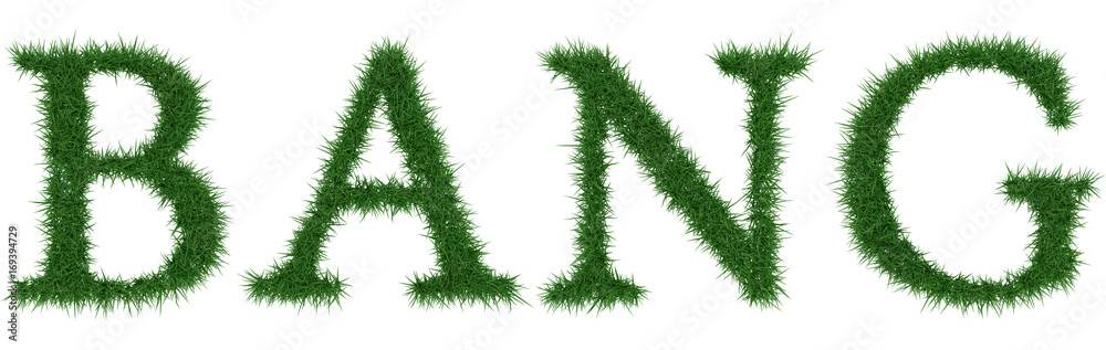 Bang - 3D rendering fresh Grass letters isolated on whhite background. Bang - 3D rendering fresh Grass letters isolated on whhite background.