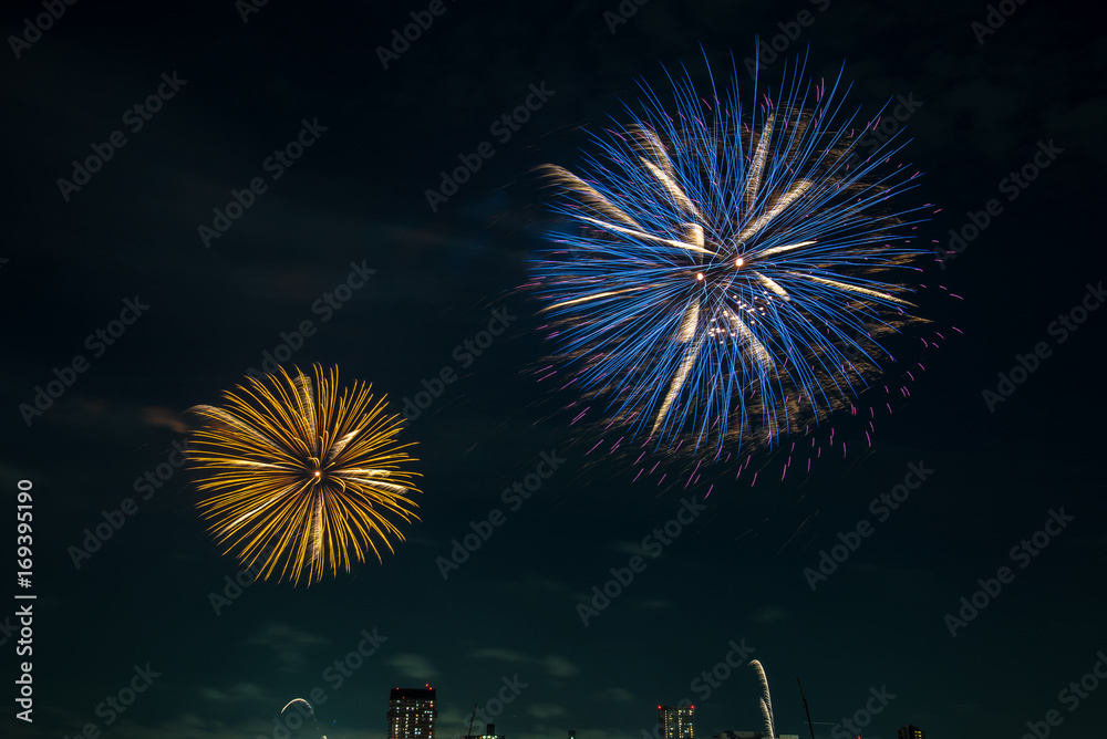 Japanese fireworks - 日本の花火　東京足立区６
