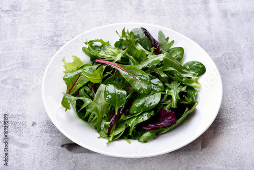 Salad with mixed leaves of arugula  mesclun  spinach