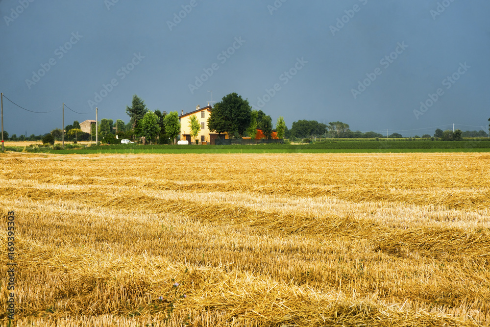 Country landscape near Fiorenzuola (Piacenza, Italy)