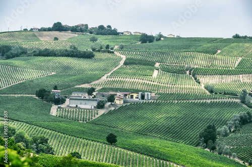 Oltrepo Piacentino (Italy), rural landscape at summer