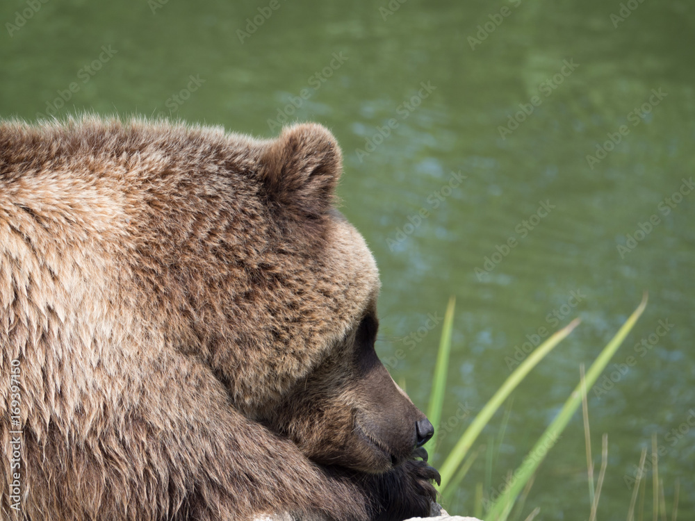 Obraz premium OLYMPUS DIGITAL CAMERA