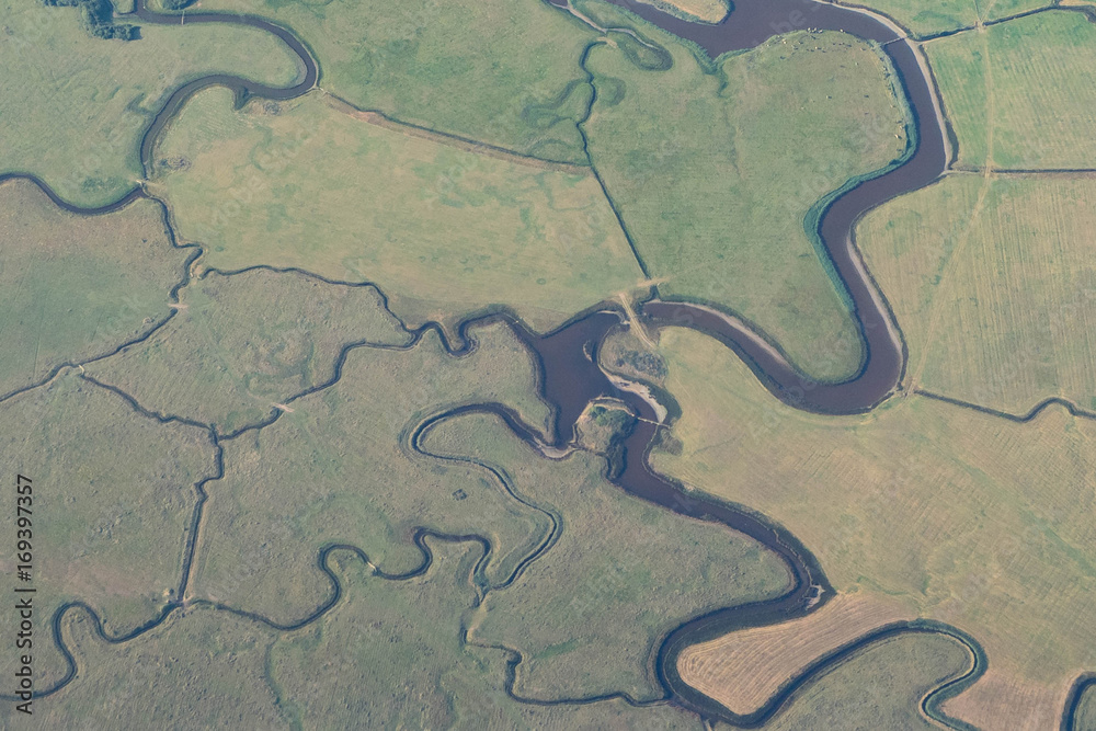 Obraz premium Marshland Texture