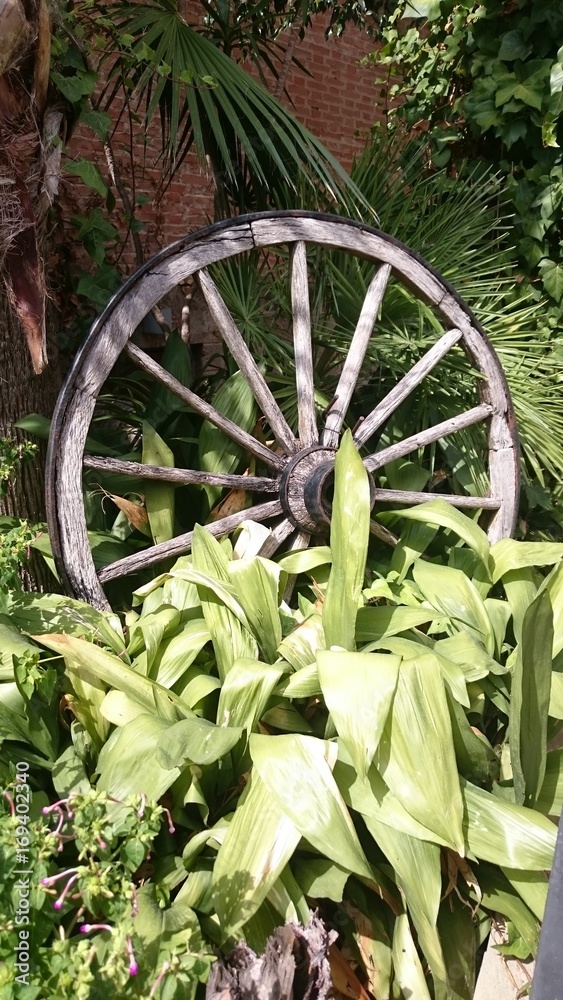 Wagon wheel Wagon wheel