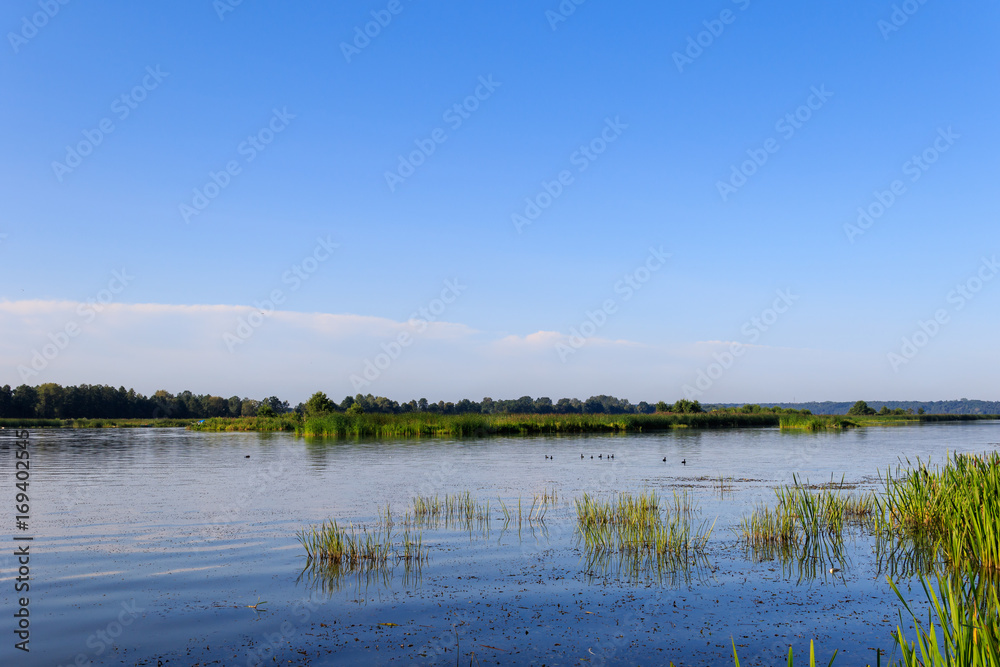 Calm water landscape