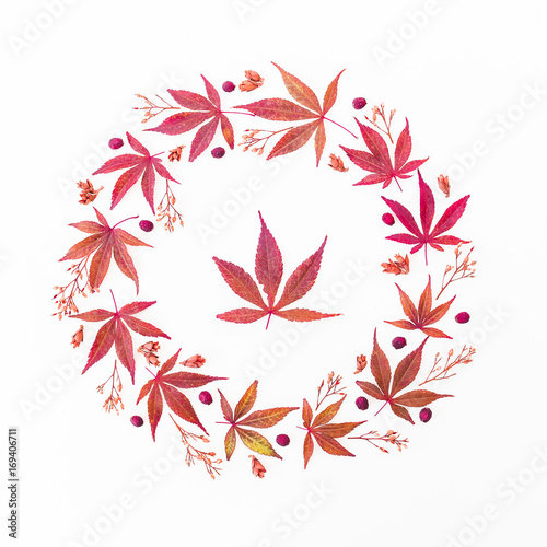 Wreath round frame made of autumn maple leaves on white background. Flat lay  top view. Autumn composition.
