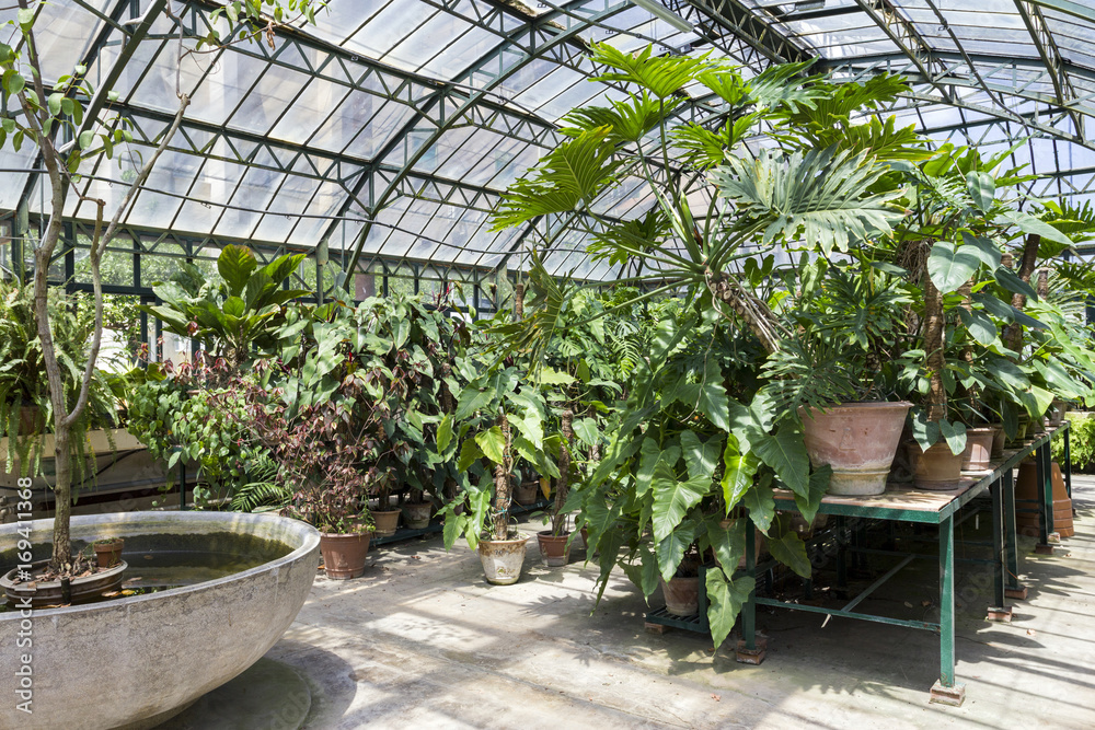 Greenhouse in the Botanical Garden of Palermo