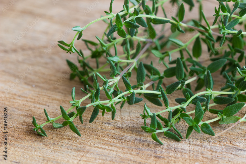 Obraz premium sprigs of thyme
