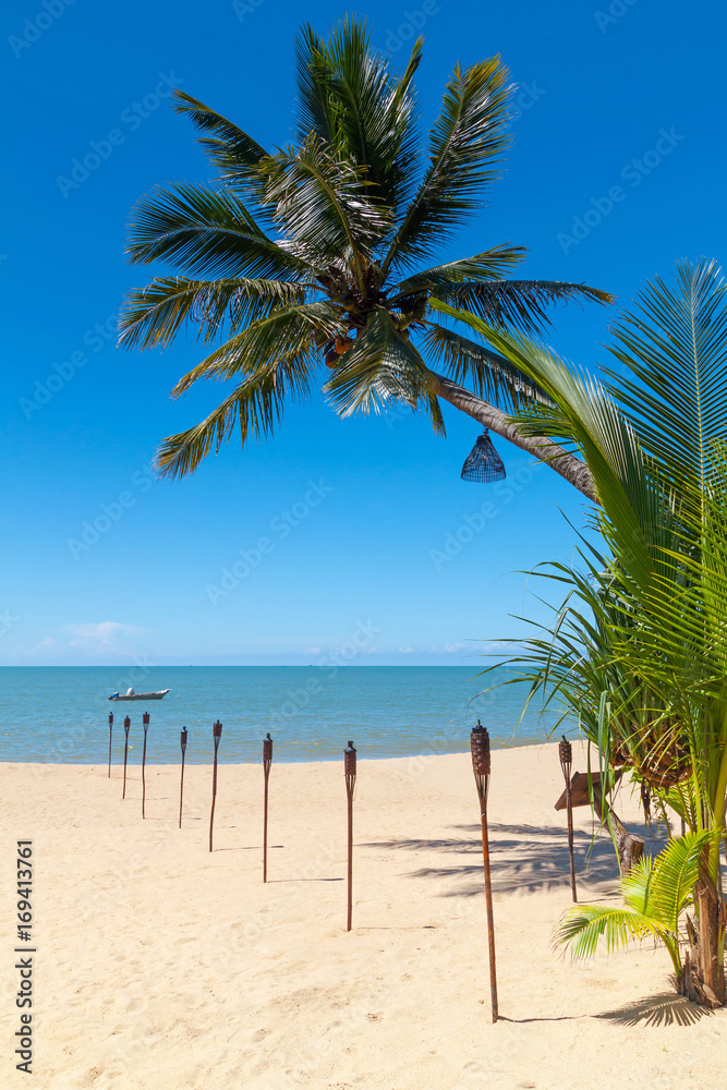 Palm tree on white sand beach in Thailand