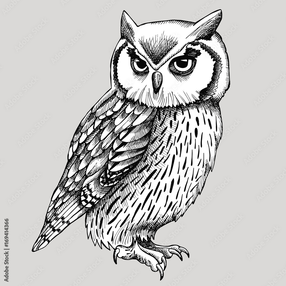 Fototapeta premium Owl Graphic Black & White