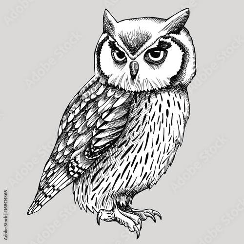 Owl Graphic Black & White