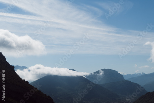 Montagne midi-pyrénées faune et flore ariège