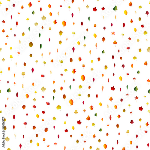 Seamless background autumn colorful leaves . Vector pattern