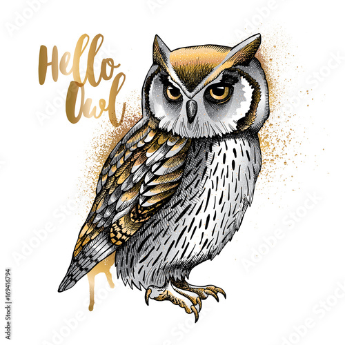 Gold and Silver owl with metal spray. Vector illustration.