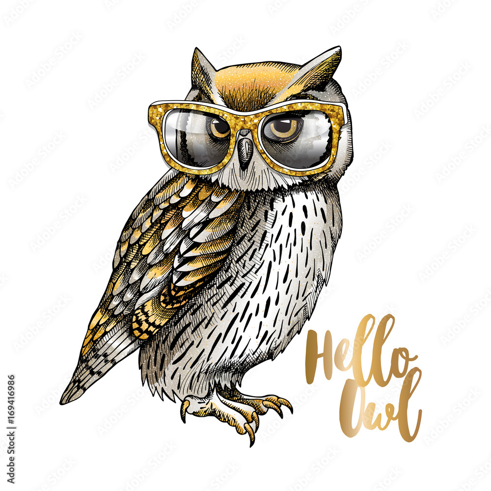 Fototapeta premium Gold and Silver owl in a glitter glasses on a white background. Vector illustration.