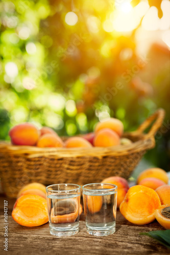 Apricot brandy alcohol drink in shot glass