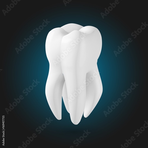 Illustration of Vector Tooth. Realistic 3D Teeth Template