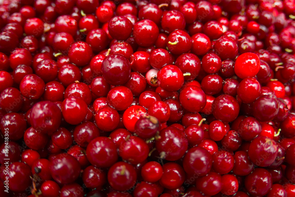Cranberry or Cowberry background, Top view