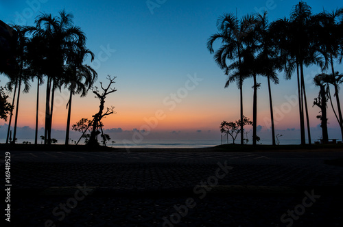Sunset with silhouette coconut trees