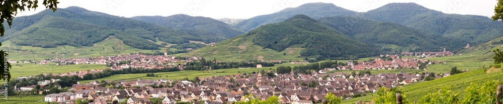 Kaysersberg vignoble, Ammerschwihr, vallée de la Weiss, Alsace, France
