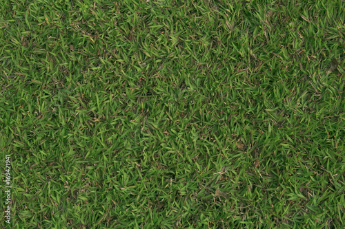 Grass for the ground