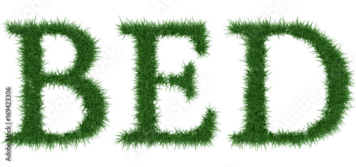 Bed - 3D rendering fresh Grass letters isolated on whhite background.