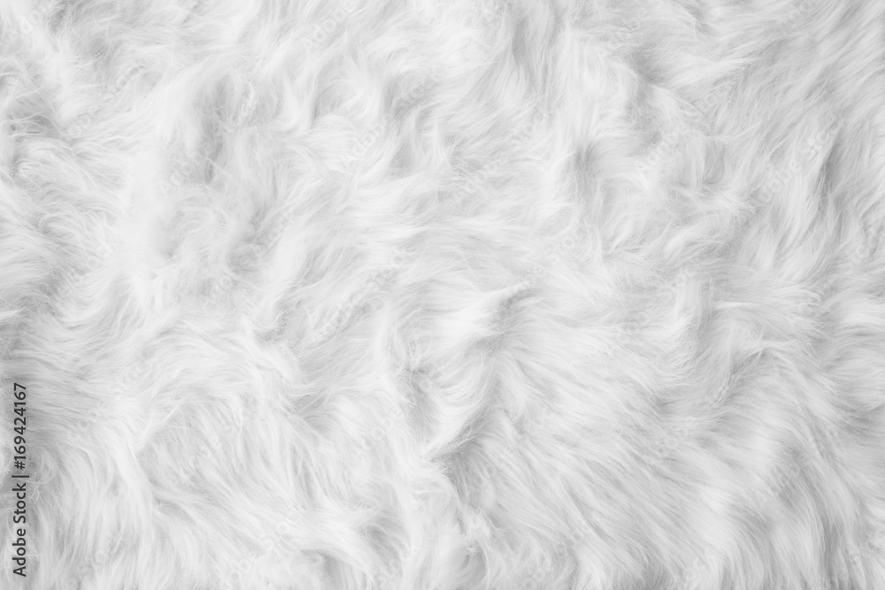 Fototapeta premium White cotton wool carpet background texture