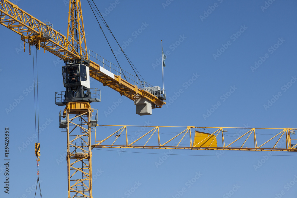 yellow cranes on blue sky