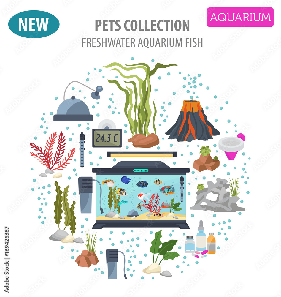 Aquarium appliance icon set flat style isolated on white. Freshwater fish care collection. Create own infographic about pet Aquarium appliance icon set flat style isolated on white. Freshwater fish care collection. Create own infographic about pet