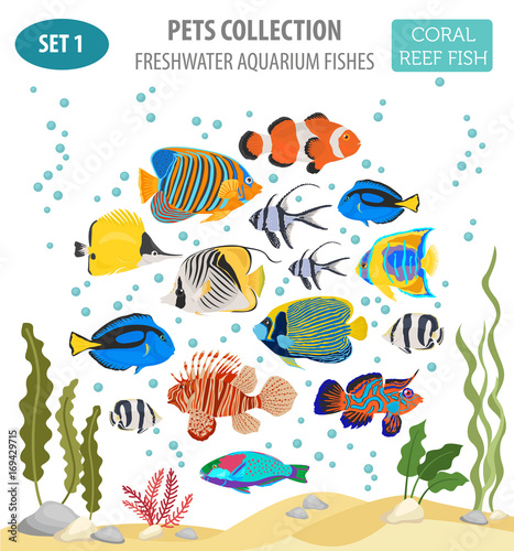 Freshwater aquarium fish breeds icon set flat style isolated on white. Coral reef. Create own infographic about pet