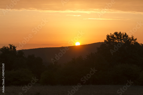 dawn in august  sun is coming up in nature  trees in sun beam