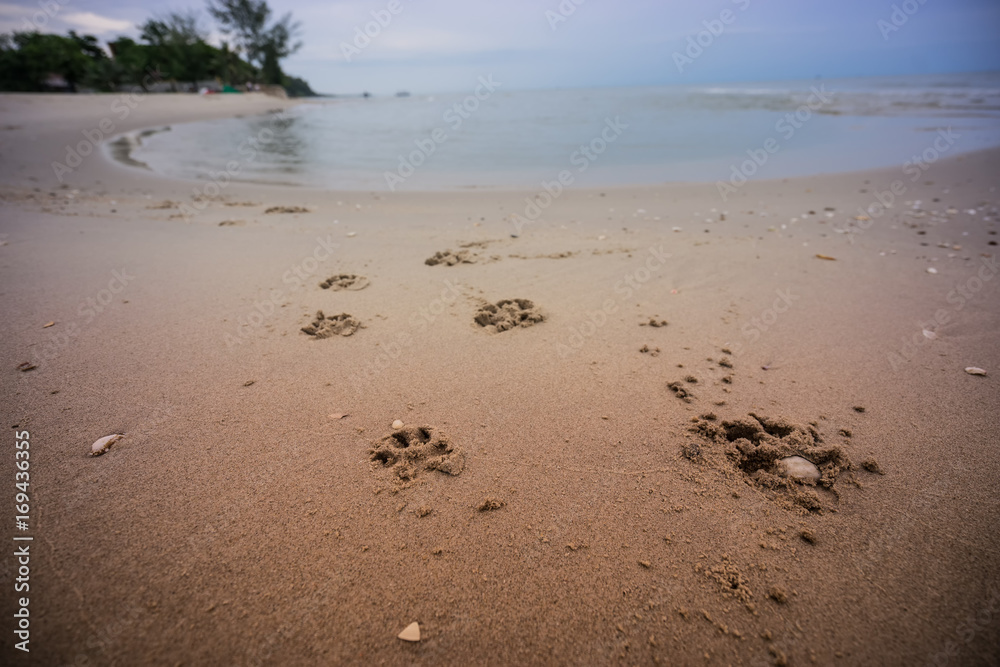abstract dog foorprint on sand and seascape abstract dog foorprint on sand and seascape