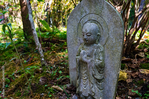 stone buddhist statue in forest, Japan