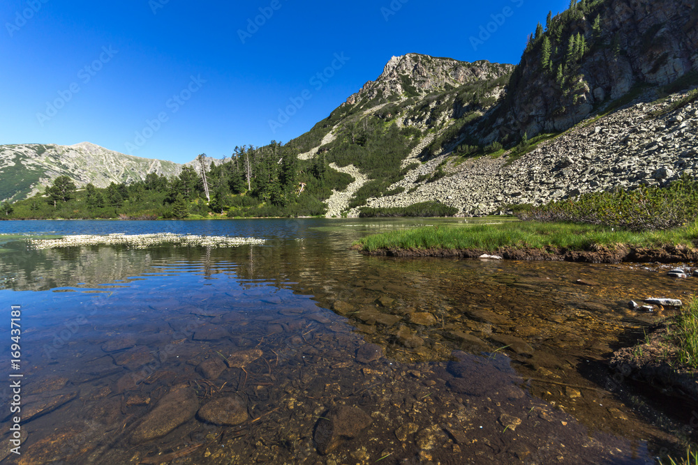 Amazing Landscape with Fish Vasilashko lake, Pirin Mountain, Bulgaria