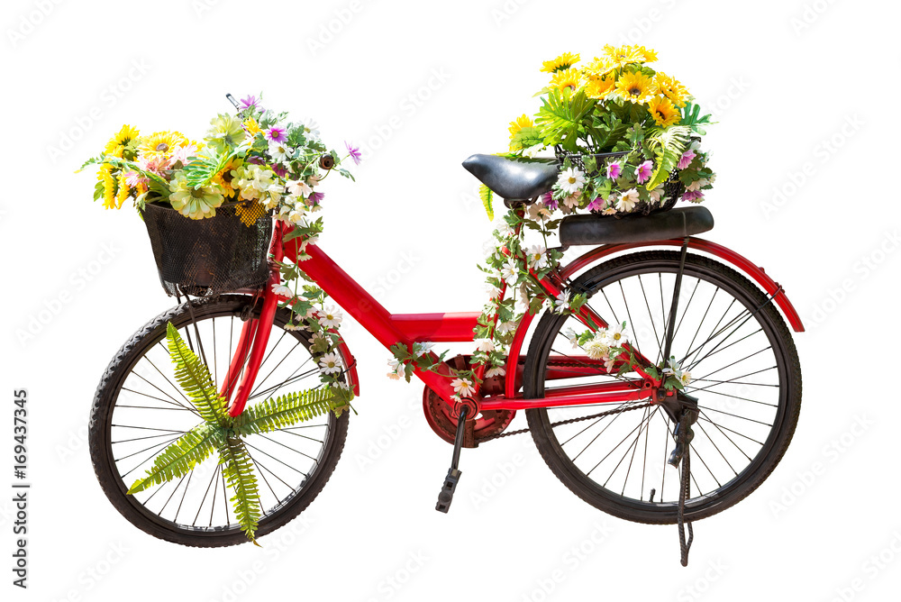 Flower on bicycle