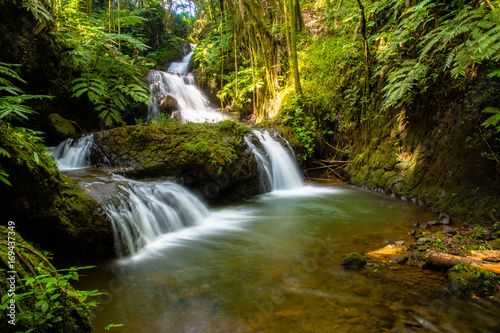 Fototapeta Naklejka Na Ścianę i Meble -  Jungle waterfalls 