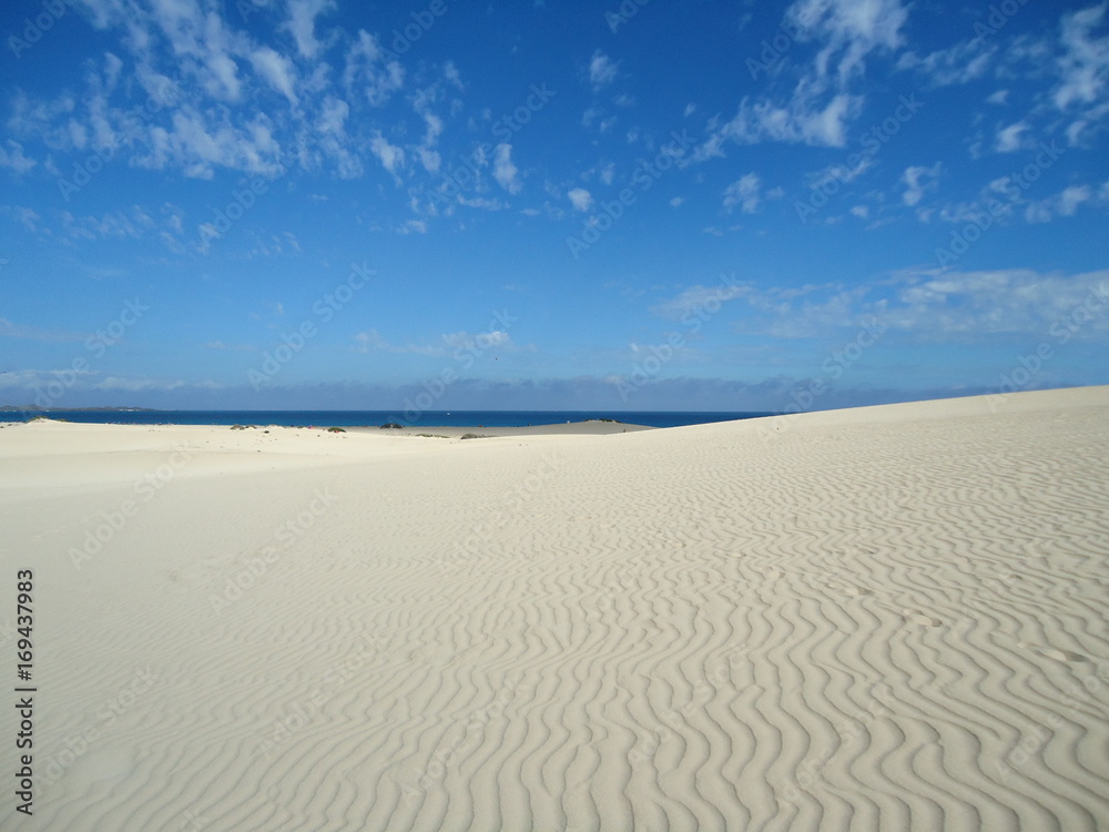 Fuerteventura dune