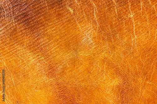 Old aged camel leather background. Texture, scratched, gradient yellow brown vivid colors. Creased.