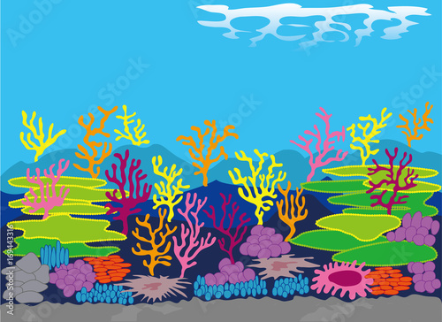 珊瑚礁2 © gensou2