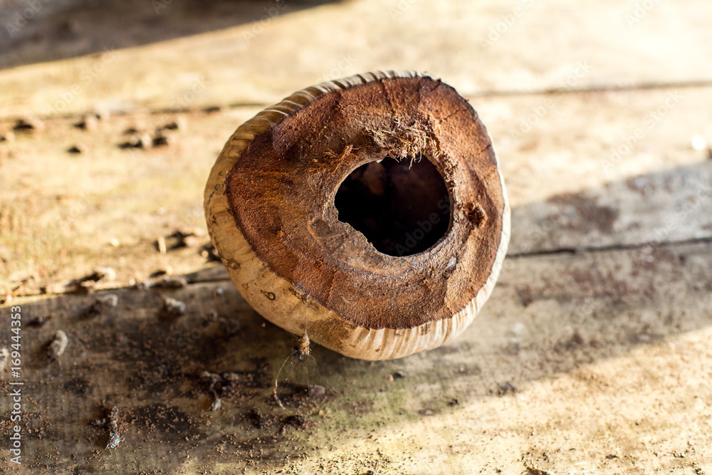 Naklejka premium old broken coconut