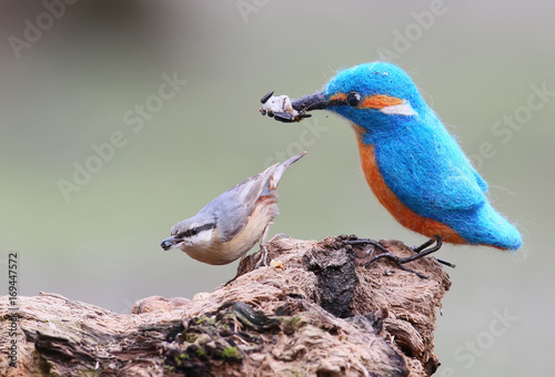 Nuthatch on the trunk with fake bird