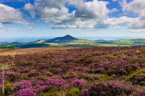 Foto Wicklow Way, Irland